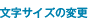 文字サイズの変更